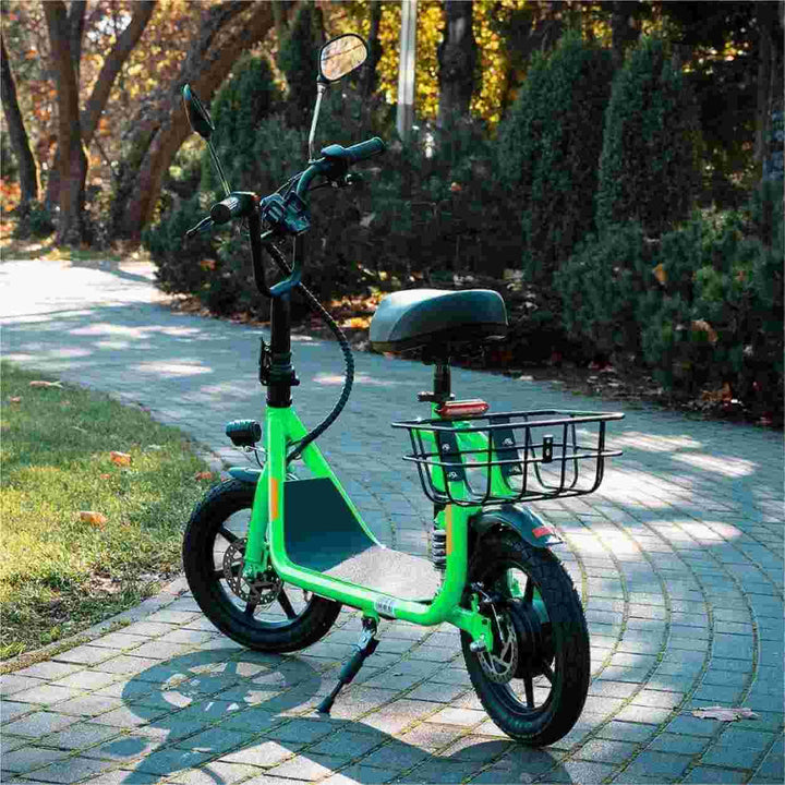 Ailife Electric Scooter
