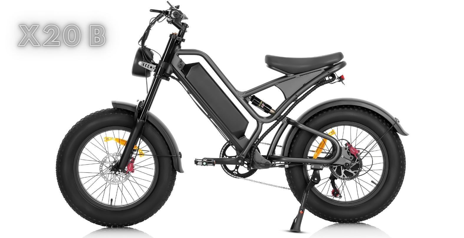 Electric Bike-Fat Tire Mountain Electric Bikes-Ailife X20B